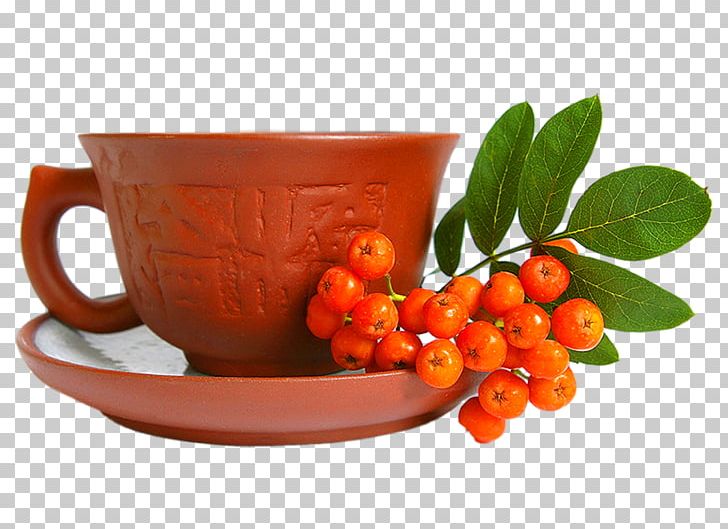 Green Tea Teacup Food Tea Production In Sri Lanka PNG, Clipart, Abc Of Happiness, Berry, Camellia Sinensis, Coffee Cup, Cup Free PNG Download