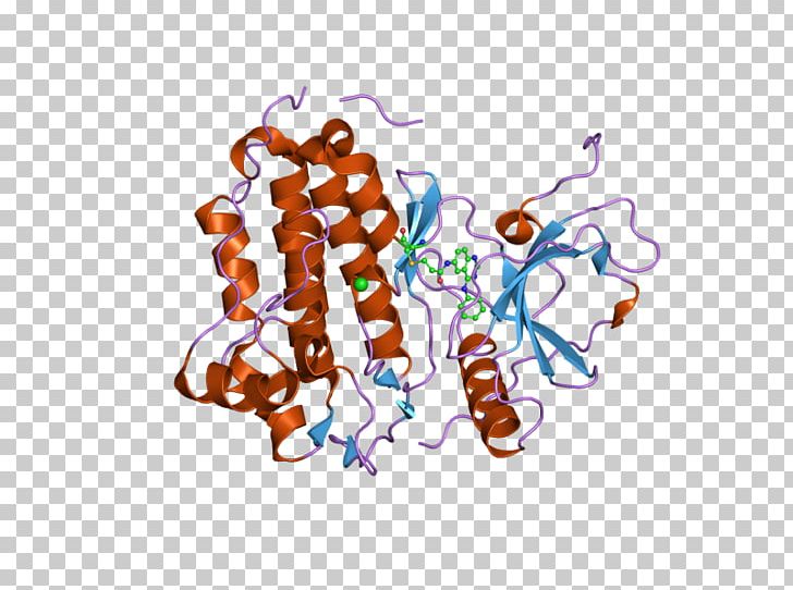 Epidermal Growth Factor Receptor Receptor Tyrosine Kinase PNG, Clipart, 5 E, Art, Cell, Cell Surface Receptor, Cetuximab Free PNG Download