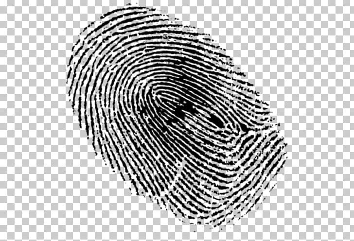 Fingerprint New York City PNG, Clipart, Black And White, Circle, Drawing, Finger, Fingerprint Free PNG Download