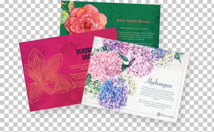 Floral Design Flower Gift Card Petal PNG, Clipart, Box, Brand, Brochure, Credit Card, Farm Free PNG Download