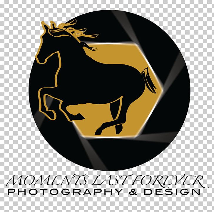 Horse Logo Font PNG, Clipart, Animals, Association, Brand, Dressage, Forever Free PNG Download