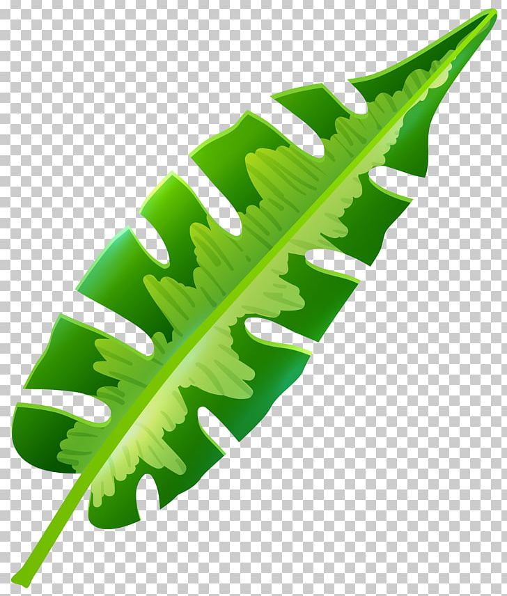 Leaf Tropics Arecaceae PNG, Clipart, Arecaceae, Banana Leaf, Clip Art, Encapsulated Postscript, Grass Free PNG Download