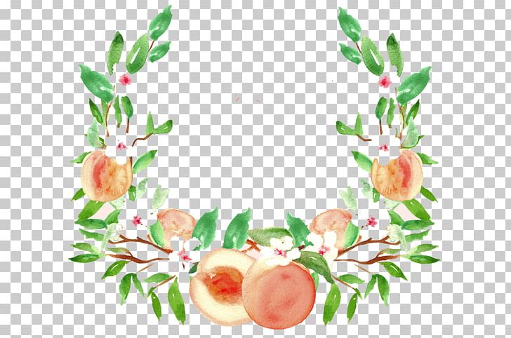 Peach Watercolor Painting Drawing Fruit Png, Clipart, Branch, Clip Art, Color, Creative Market, Drawing Free Png