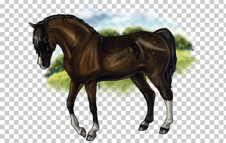 Stallion Mustang Rein Mare Horse Harnesses PNG, Clipart, Bridle, Halter, Harness Racing, Horse, Horse Harness Free PNG Download