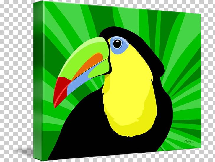 Bird Parrot Toucan Vertebrate Piciformes PNG, Clipart, Animal, Animals, Art, Beak, Bird Free PNG Download