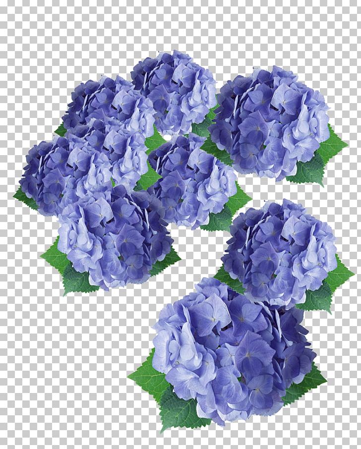 Flower Purple Hydrangea Floral Design PNG, Clipart, Artificial Flower, Blue, Cornales, Cut Flowers, Floristry Free PNG Download