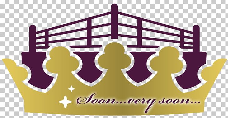 Honor Rising: Japan 2018 Professional Wrestling 0 Brand Ring Of Honor PNG, Clipart, 2017, Area, Battle Royal, Brand, Dismissal Free PNG Download