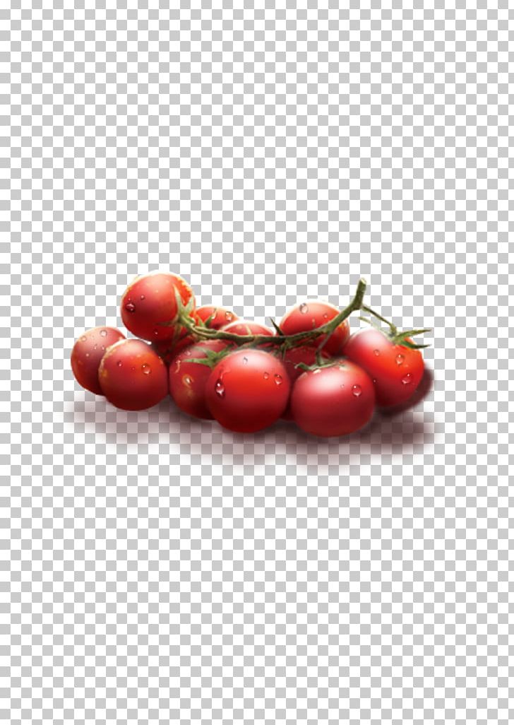 Plum Tomato Cherry Tomato Fruit Auglis PNG, Clipart, Cherry, Cherry Blossom, Cherry Blossoms, Cherry Tomato, Diet Food Free PNG Download