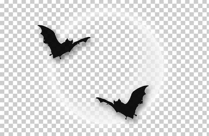 Computer Icons PNG, Clipart, Alchemy, Bat, Beak, Black, Black And White Free PNG Download