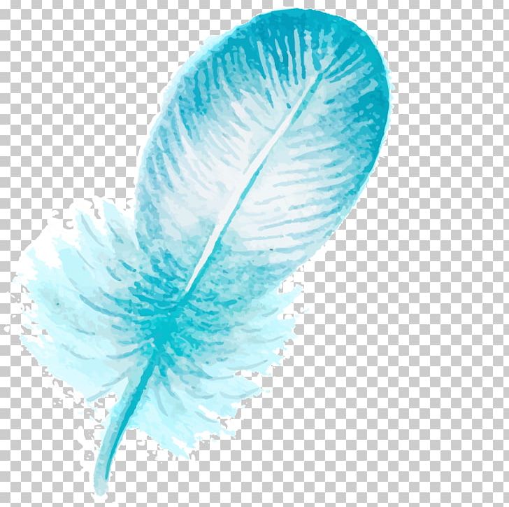 Feather Bird Blue Hair PNG, Clipart, Animals, Aqua, Bird, Blue, Color Free PNG Download