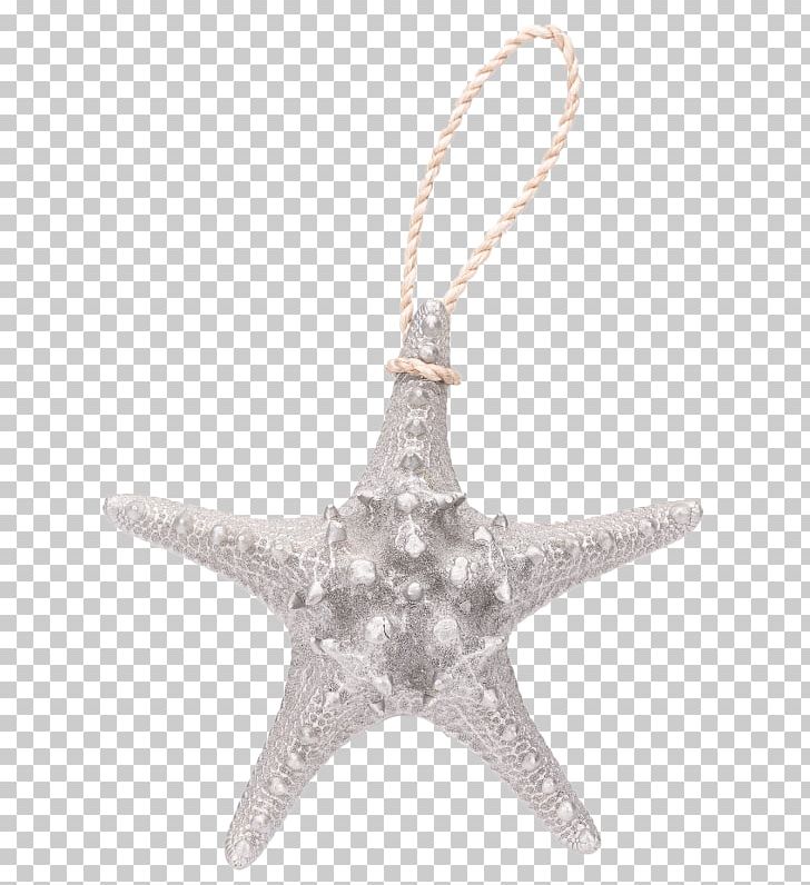 Starfish Gold Noppe Jewellery Snake PNG, Clipart, Animals, Body Jewellery, Body Jewelry, Christmas Ornament, Dostawa Free PNG Download
