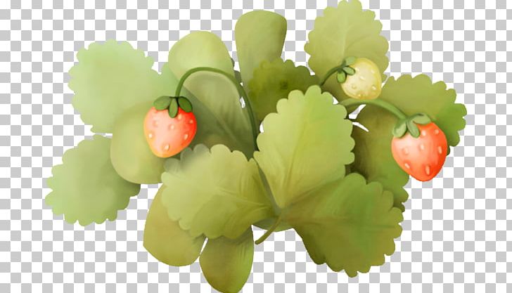 Strawberry Fruit Frame PNG, Clipart, Background Green, Download, Euclidean Vector, Fall Leaves, Food Free PNG Download