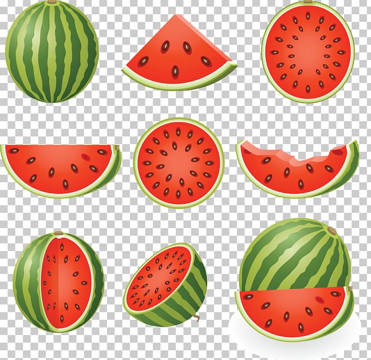 Premium Vector | Watermelon drawing drawn with one continuous line