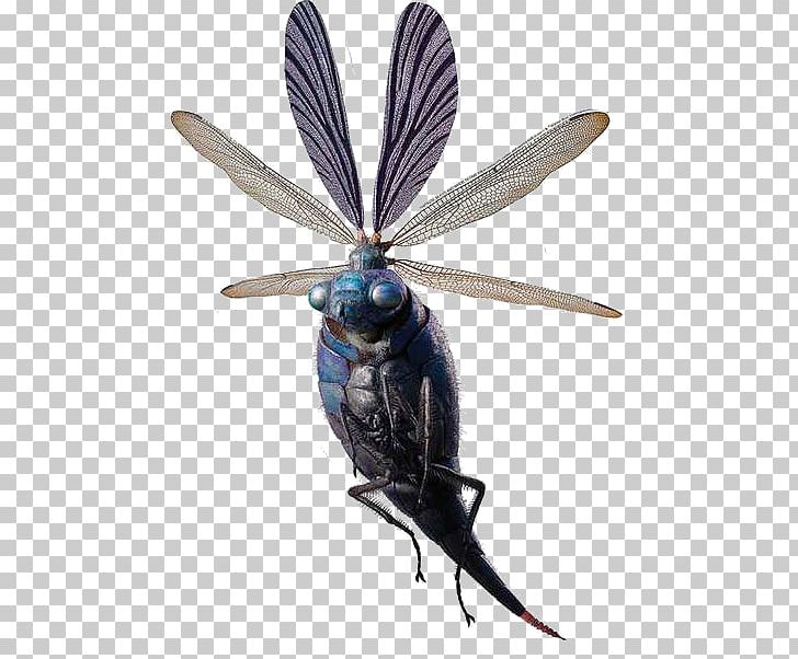 YouTube Harry Potter Billywig Fantastic Beasts And Where To Find Them Film Series Art PNG, Clipart, 3d Film, Art, Arthropod, Dragonflies And Damseflies, Dragonfly Free PNG Download