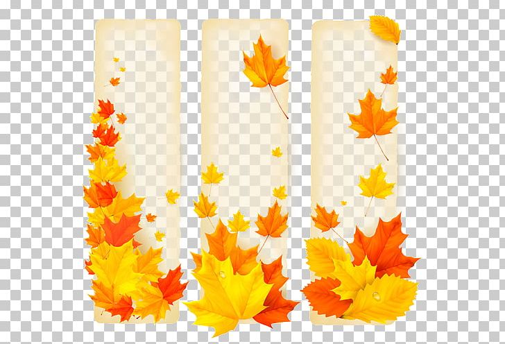Banner School Autumn Advertising PNG, Clipart, Autumn Leaf Color, Decorative Elements, Elements, Encapsulated Postscript, Fall Free PNG Download