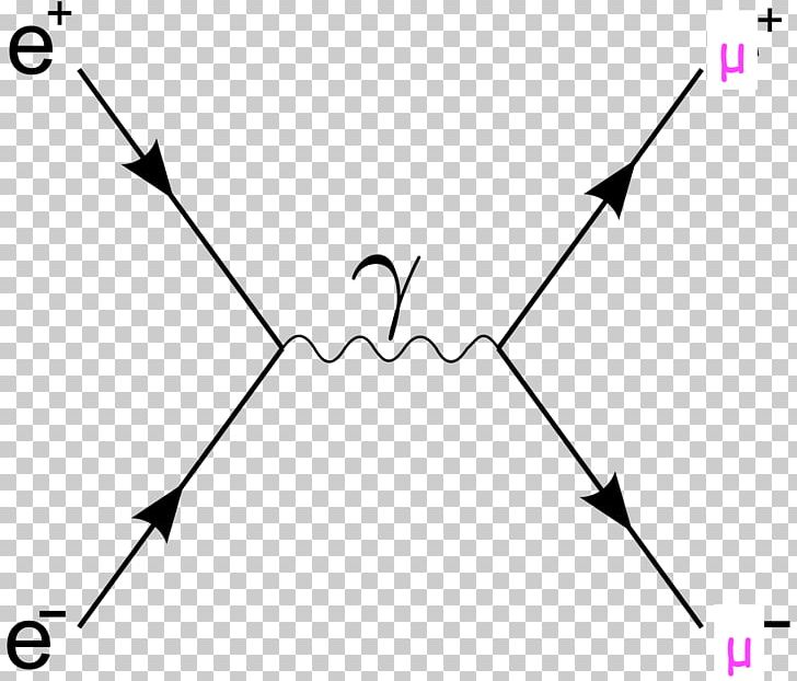 Bhabha Scattering Quantum Field Theory Feynman Diagram Physics PNG, Clipart, Angle, Area, Beak, Bhabha Scattering, Bird Free PNG Download