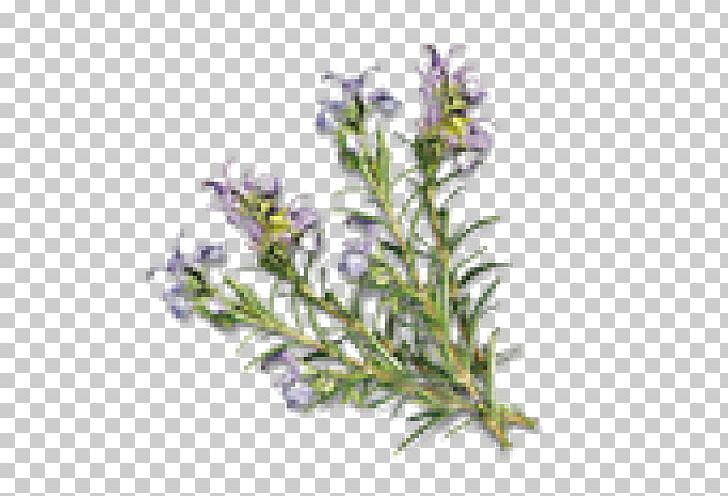 Hot Tub Sauna Rosemary Essential Oil Spa PNG, Clipart, Aromatherapy, Aufguss, Balneotherapy, Bathtub, Essential Oil Free PNG Download