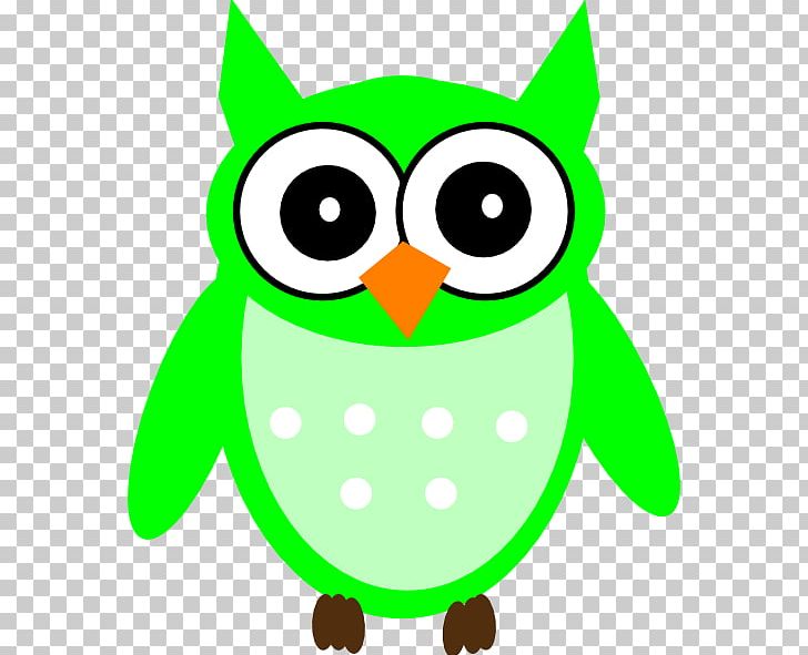 Owl Green PNG, Clipart, Artwork, Beak, Bird, Bluegreen, Color Free PNG Download
