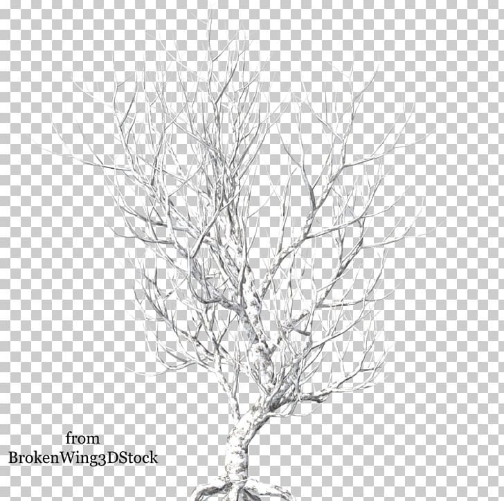 Twig Portable Network Graphics Tree PNG, Clipart, Art, Black And White, Branch, Drawing, Flowering Plant Free PNG Download