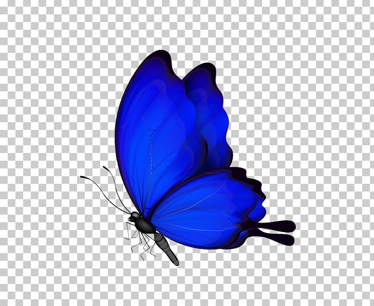 Butterfly Insect PNG, Clipart, Arthropod, Blue, Blue Abstract, Blue Abstracts, Blue Background Free PNG Download