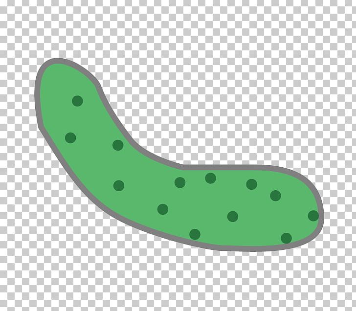 Cucumber Illustration Computer Icons Sushi PNG, Clipart, Cartoon, Computer Icons, Cucumber, Cucumis, Grass Free PNG Download