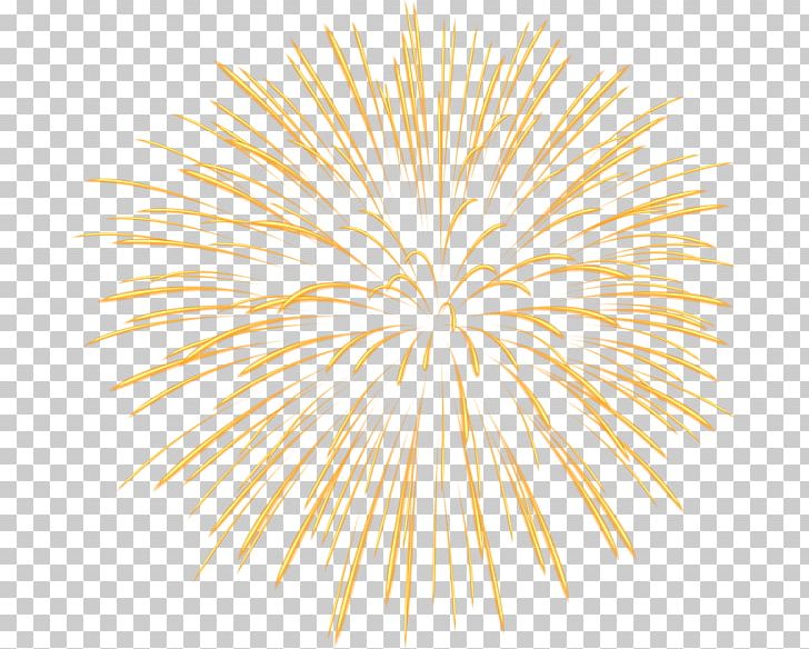 Fireworks PNG, Clipart, Animation, Circle, Clip Art, Color, Download Free PNG Download