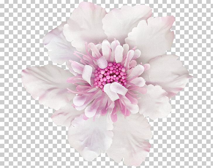 Peony Cut Flowers Pink M Herbaceous Plant Petal PNG, Clipart, Blossom, Cicek, Cicek Resimleri, Cut Flowers, Fleur Free PNG Download