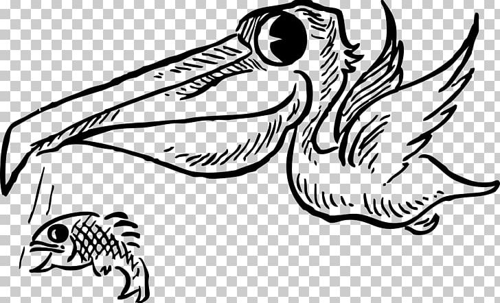 Bird Cartoon Brown Pelican PNG, Clipart, Animals, Artwork, Beak, Black, Black And White Free PNG Download