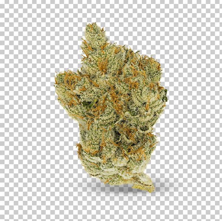 Medical Cannabis White Tea Herbal Tea PNG, Clipart, Black Tea, Canada Mail Order Marijuana, Cannabidiol, Cannabis, Green Tea Free PNG Download