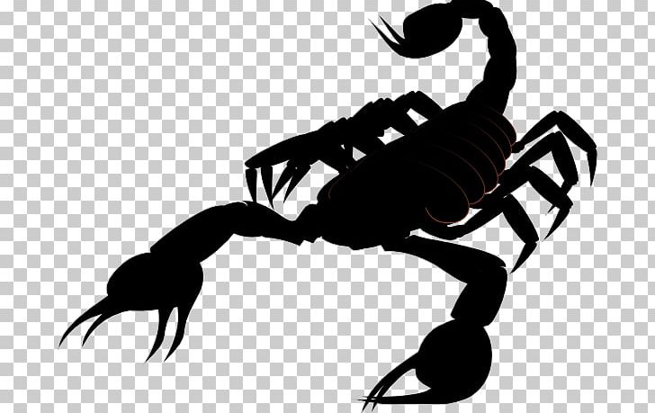 Scorpion PNG, Clipart, Arthropod, Black And White, Blog, Computer Icons, Download Free PNG Download