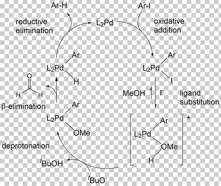 Aryl Halide Chemical Bond Dehalogenation PNG, Clipart, 13 November, Angle, Area, Aryl, Aryl Halide Free PNG Download