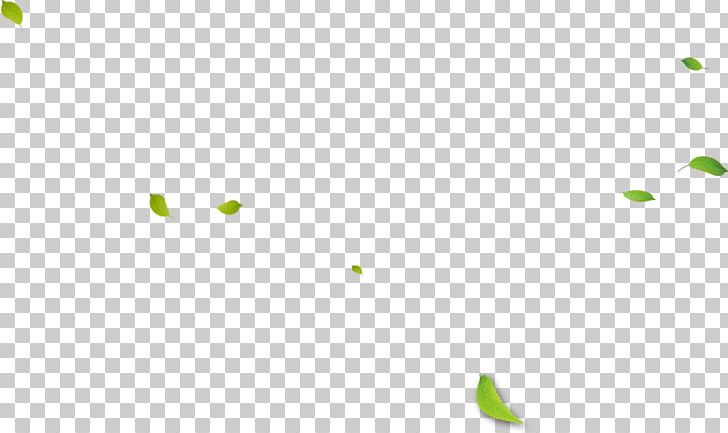 Line Angle Point PNG, Clipart, Angle, Autumn Leaves, Banana Leaves, Circle, Defoliation Free PNG Download