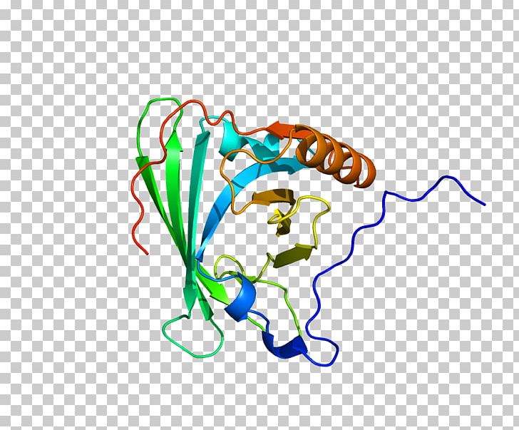 Apolipoprotein E APOM PNG, Clipart, Apolipoprotein, Apolipoprotein A1, Apolipoprotein E, Area, Artwork Free PNG Download