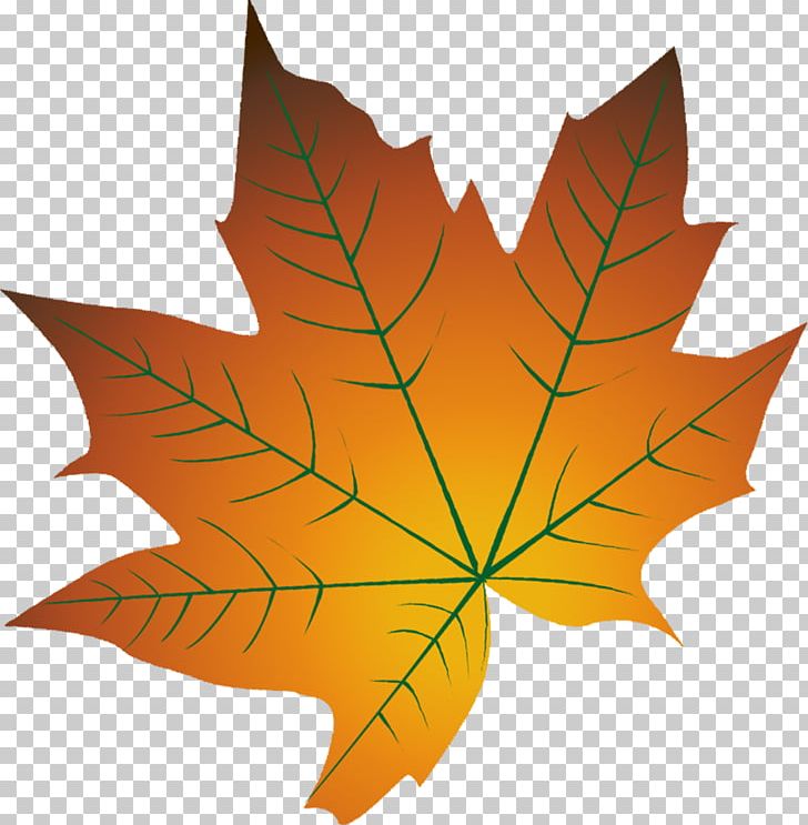 Autumn Leaf Color Cartoon Autumn Leaf Color PNG, Clipart, Autumn, Autumn Leaf Color, Autumn Leaves, Balloon Cartoon, Cartoon Couple Free PNG Download