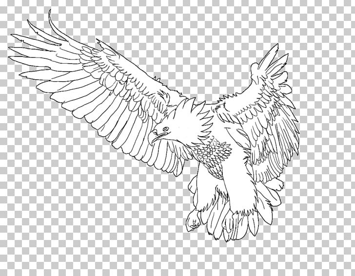 Bald Eagle Chicken Beak Sketch PNG, Clipart, Arm, Artwork, Bald Eagle, Beak, Bird Free PNG Download