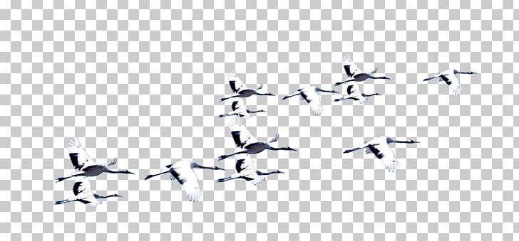 Bird Crane Flight Computer File PNG, Clipart, Angle, Animal, Background White, Black White, Common Crane Free PNG Download