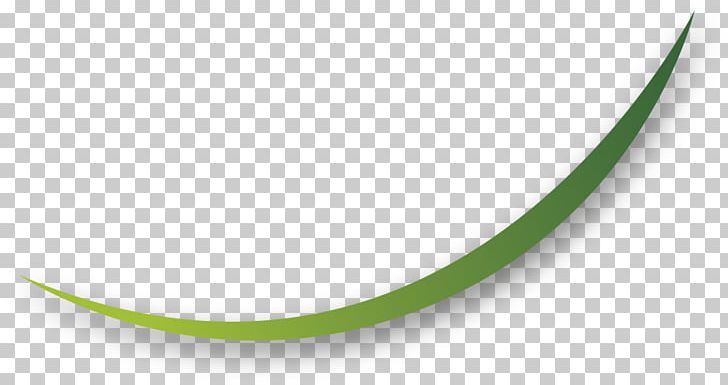 Line Angle Leaf PNG, Clipart, Angle, Art, Grass, Leaf, Line Free PNG Download