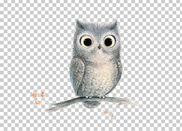 Barn Owl Bird PNG, Clipart, Animal, Animals, Art, Artist, Barn Owl Free PNG Download