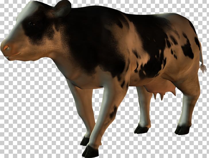 Cattle Calf Ox PhotoScape PNG, Clipart, Animal, Bull, Calf, Cattle, Cattle Like Mammal Free PNG Download