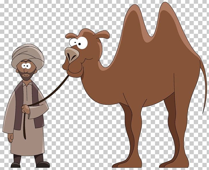 Dromedary Cartoon Stock Photography PNG, Clipart, Animals, Arabian Camel, Camel, Camel Cartoon, Camel Like Mammal Free PNG Download