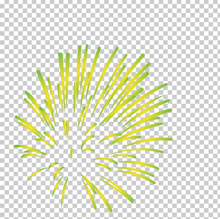Fireworks Computer File PNG, Clipart, Adobe Fireworks, Background Green, Circle, Euclidean Vector, Fire Free PNG Download