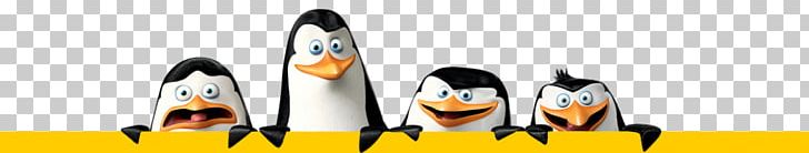 Kowalski Skipper Madagascar Desktop PNG, Clipart, Animals, Computer Icons, Computer Wallpaper, Dreamworks Animation, How To Train Your Dragon Free PNG Download