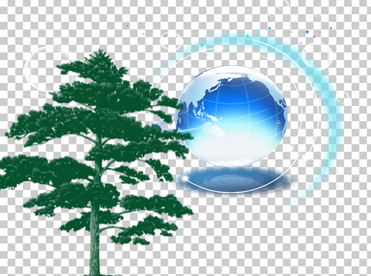 Pinus Densiflora Scots Pine Pinus Parviflora Pinus Resinosa Illustration PNG, Clipart, Blue, Blue Abstract, Blue Background, Blue Earth, Blue Eyes Free PNG Download
