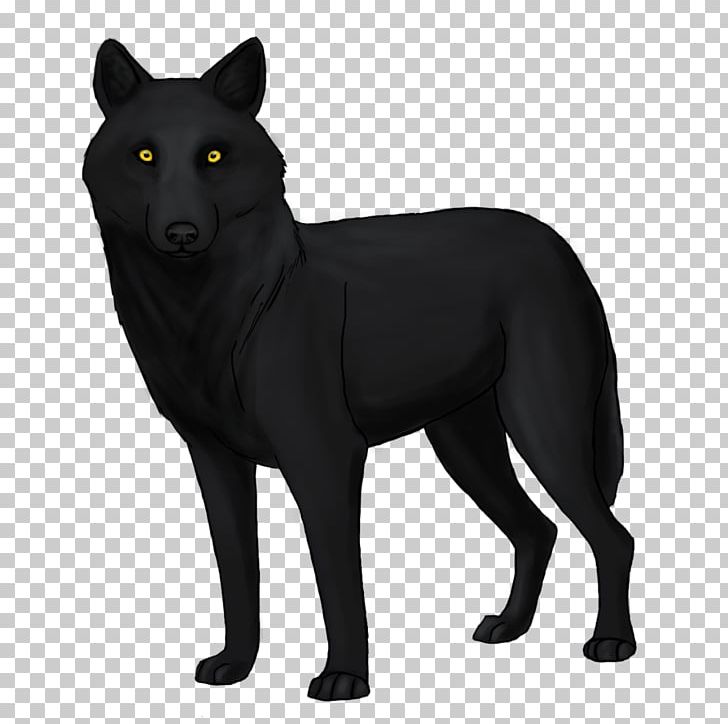 Schipperke Coyote Black Wolf Drawing Canidae PNG, Clipart, Animal, Art, Black, Black Wolf, Canidae Free PNG Download