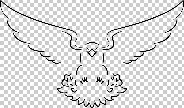 Beak Bald Eagle White-tailed Eagle Bird PNG, Clipart, Animals, Artwork, Black, Black And White, Blackandwhite Hawkeagle Free PNG Download