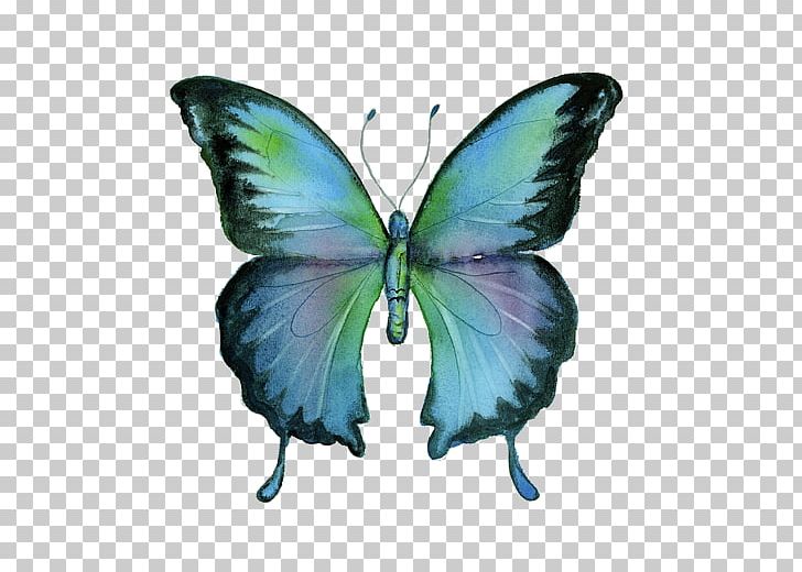 Brush-footed Butterflies Butterfly Blue Morpho Painting Art PNG, Clipart, Art, Arthropod, Brush Footed Butterfly, Butterflies And Moths, Butterfly Free PNG Download