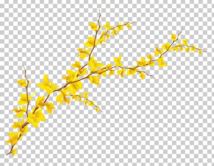 Ginkgo Biloba Leaf PNG, Clipart, Abstract Shapes, Area, Blog, Branch, Branches Free PNG Download