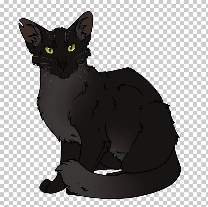 Kitten Korat Black Cat Warriors Whiskers PNG, Clipart, Animals, Ashfoot, Asian, Barkface, Black Cat Free PNG Download