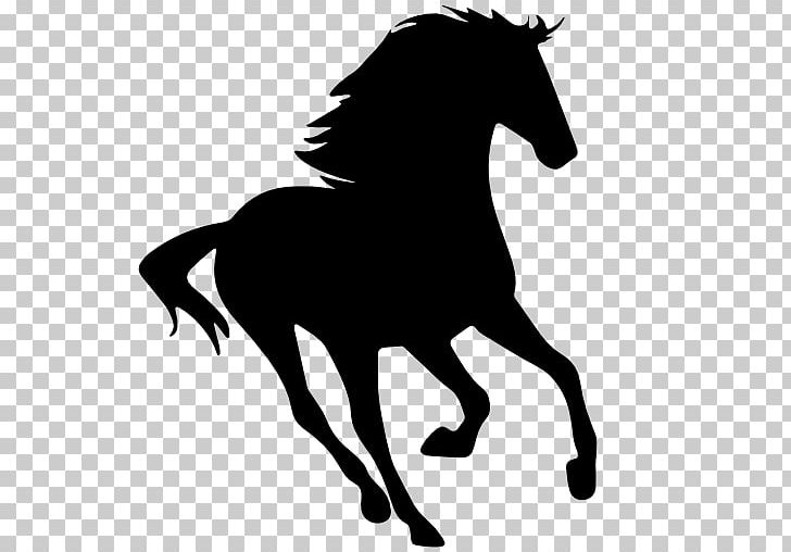 Mustang Wild Horse PNG, Clipart, Black, Black And White, Bridle, Canter And Gallop, Collection Free PNG Download