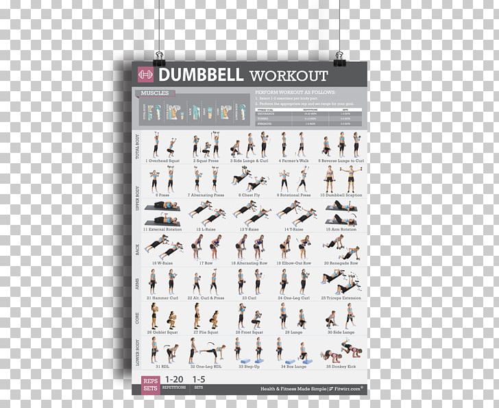 Dumbbell Bodyweight Exercise Weight Training Strength Training PNG, Clipart, Abdominal Exercise, Aerobic Exercise, Barbell, Bodyweight Exercise, Brand Free PNG Download